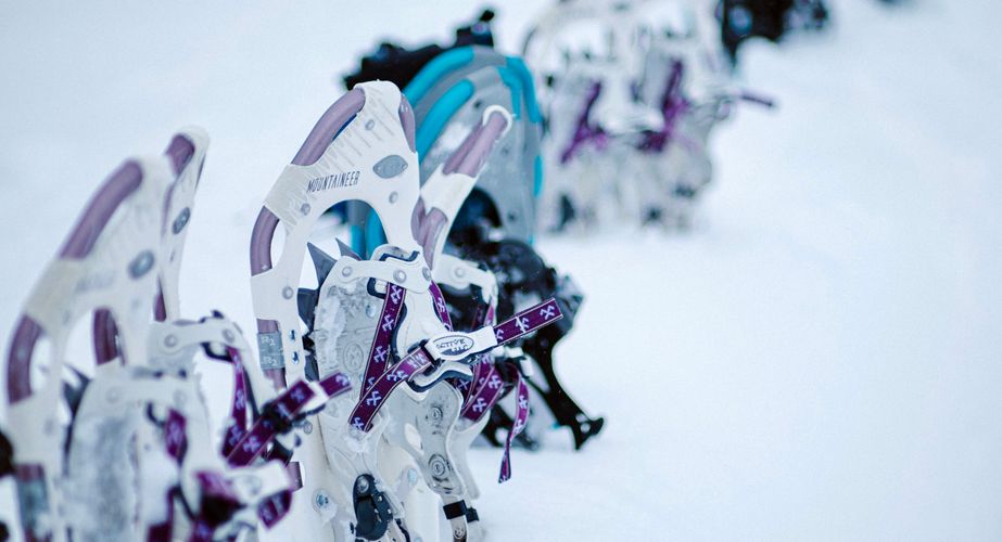 Sneeuwschoenwandelen activiteit met de groep